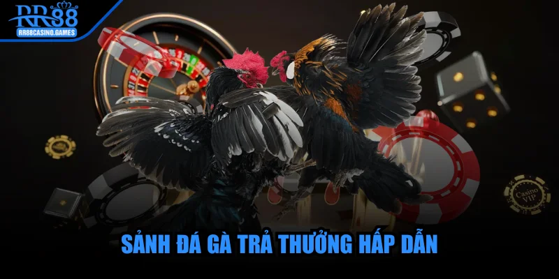 rr88-sanh-da-ga